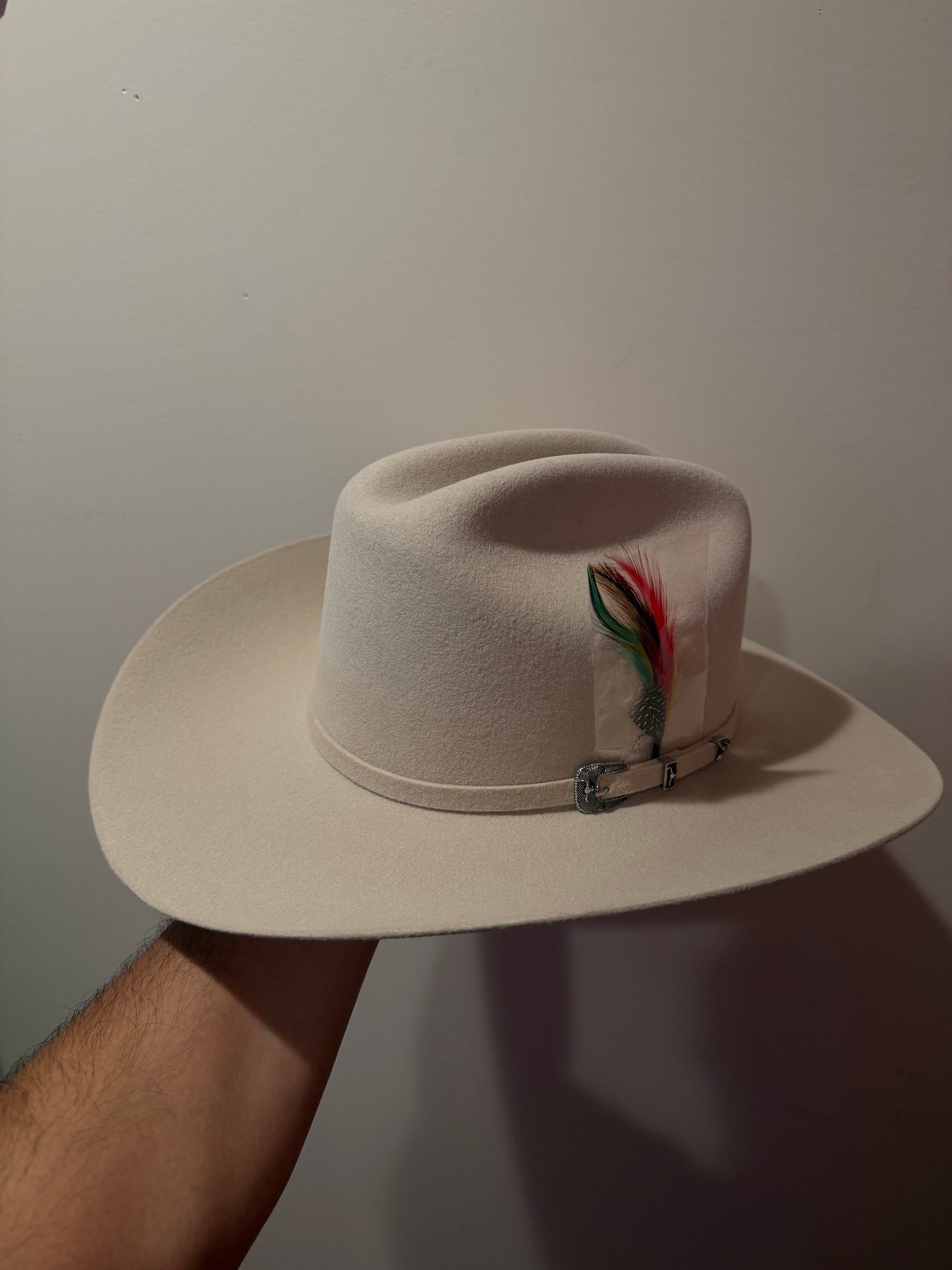 Texana 6x cuernos chuecos