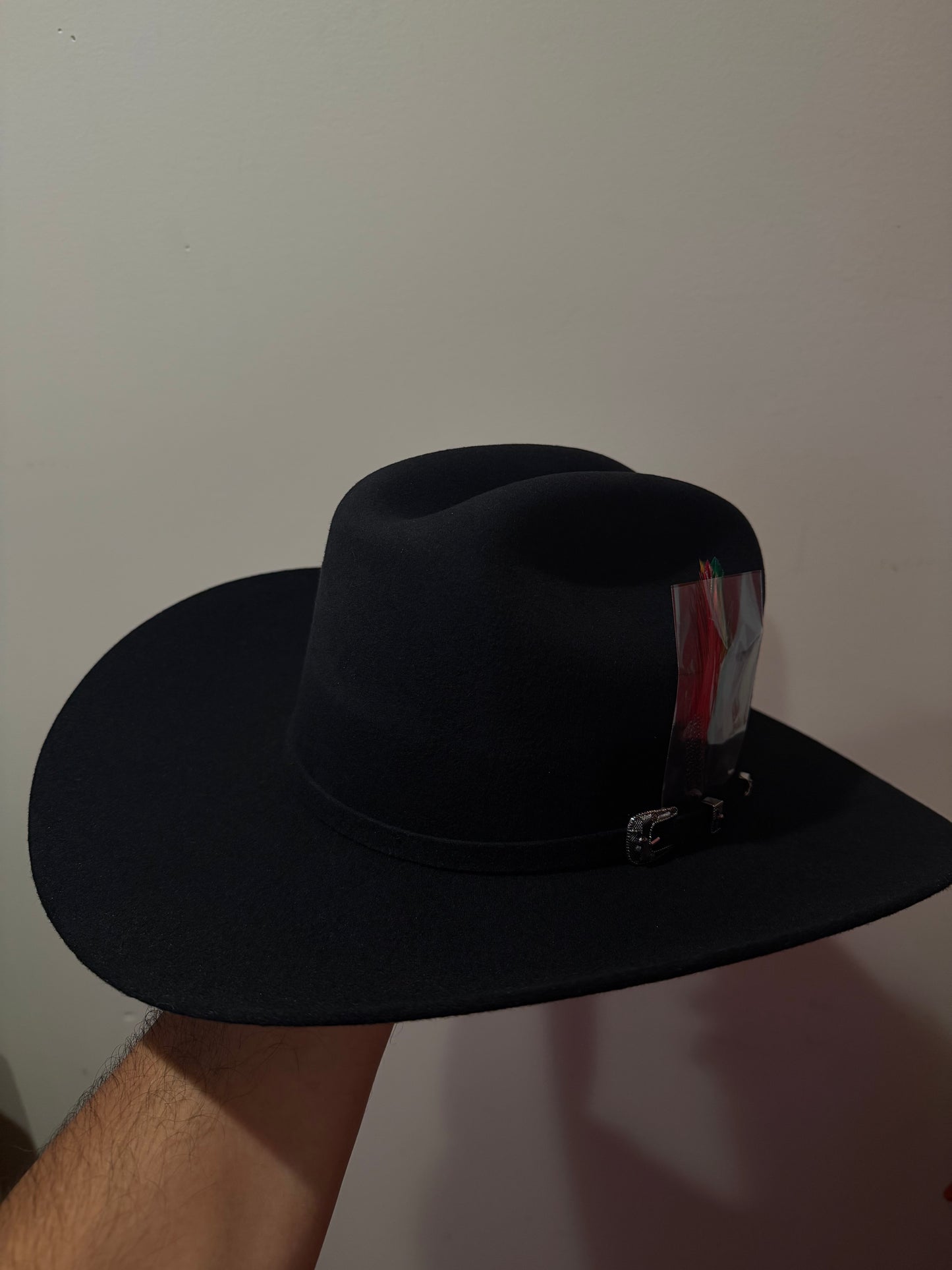 Texana 6x cuernos chuecos