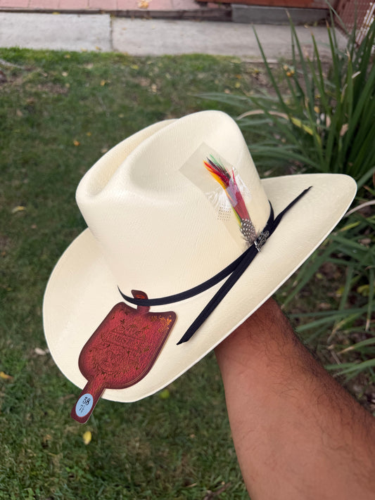 15 x estilo Sinaloa