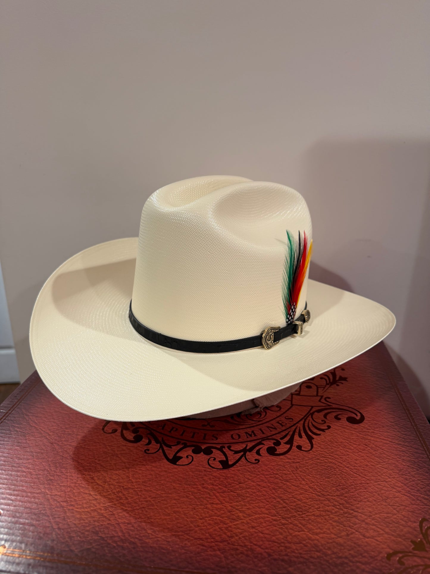 Sombrero 1000x Johnson