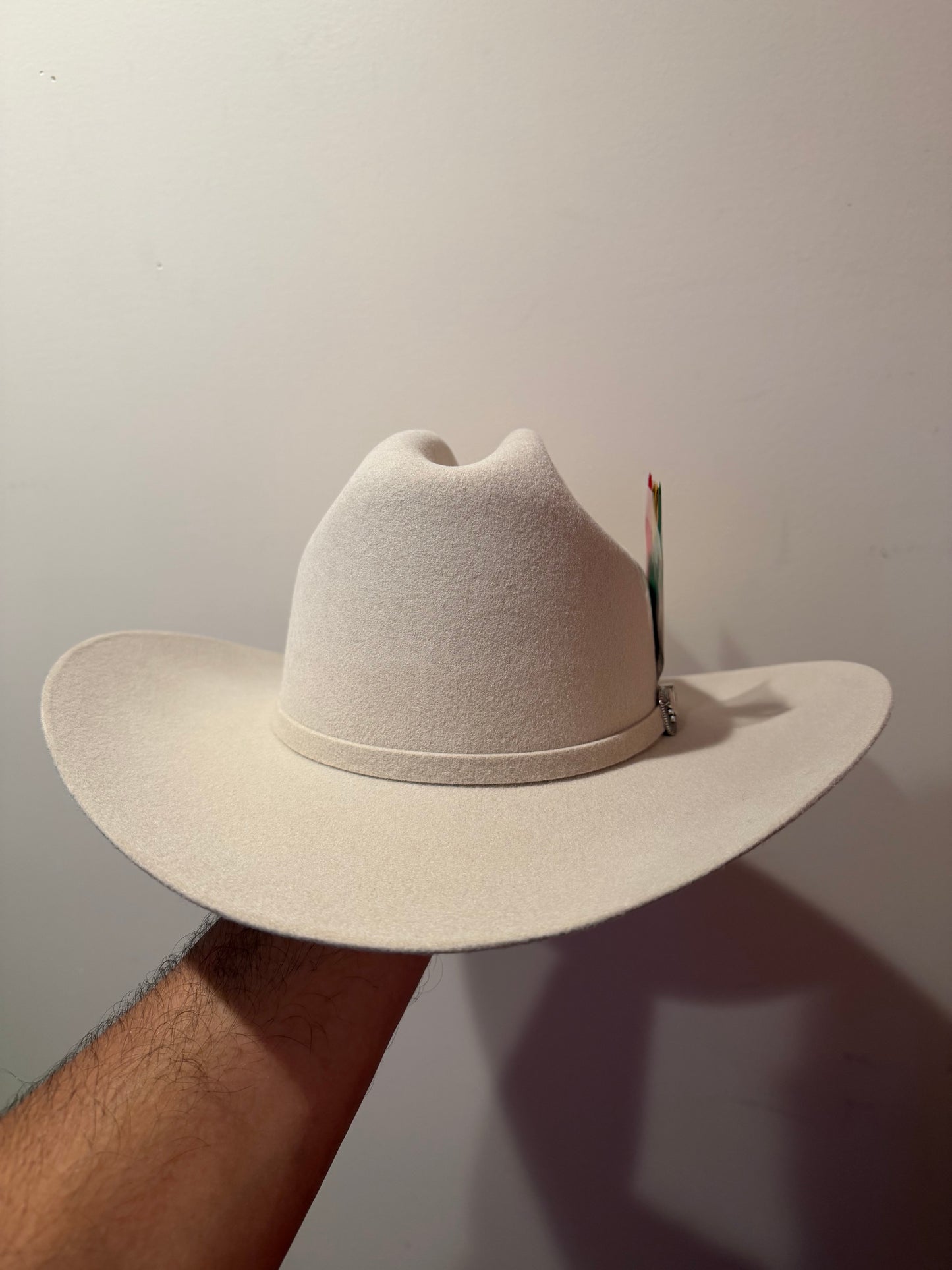 Texana 6x cuernos chuecos