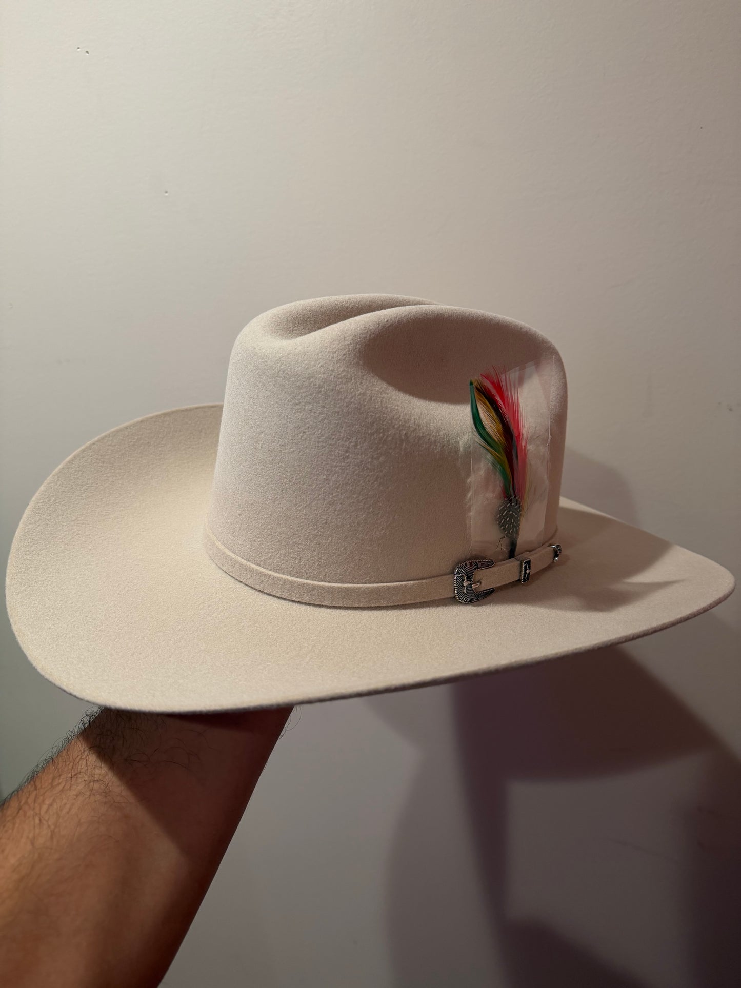 Texana 6x cuernos chuecos