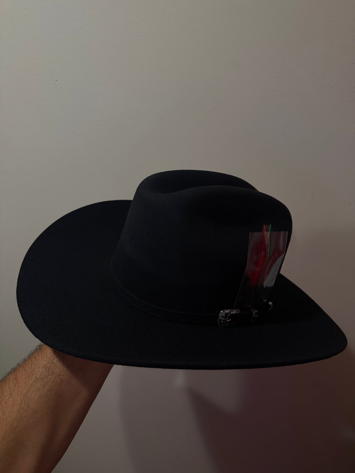 Texana 6x cuernos chuecos