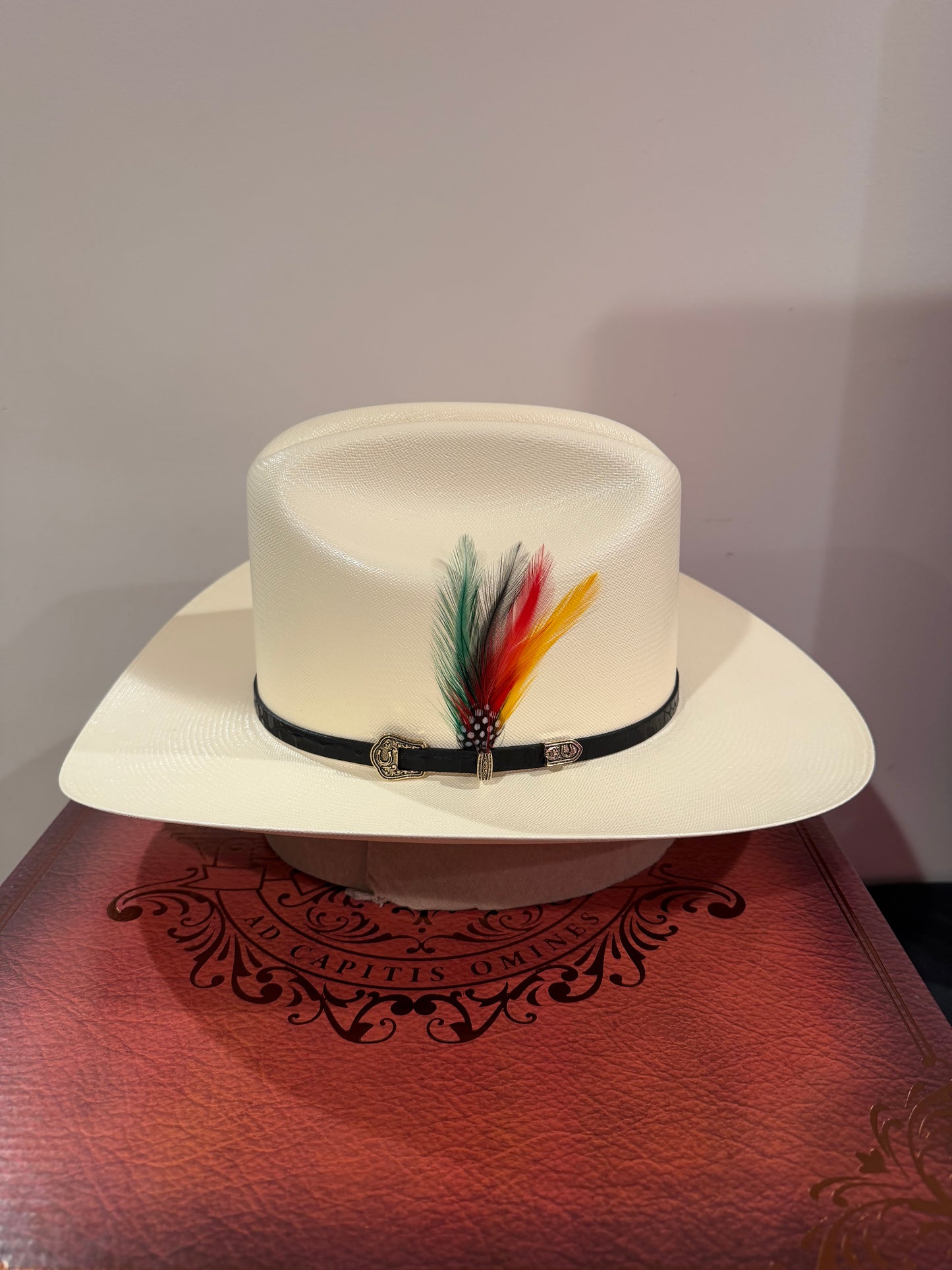 Sombrero 1000x Johnson