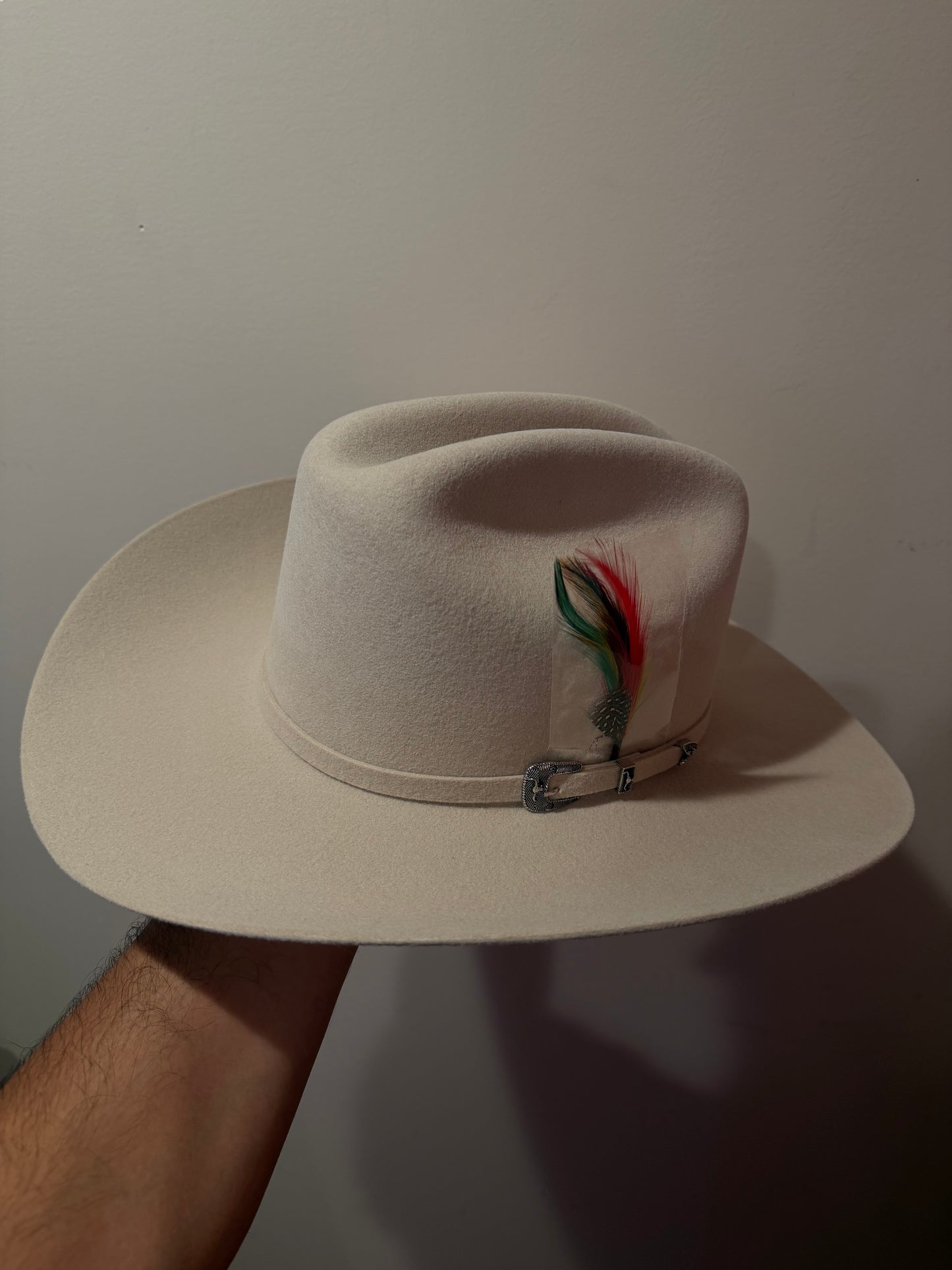 Texana 6x cuernos chuecos